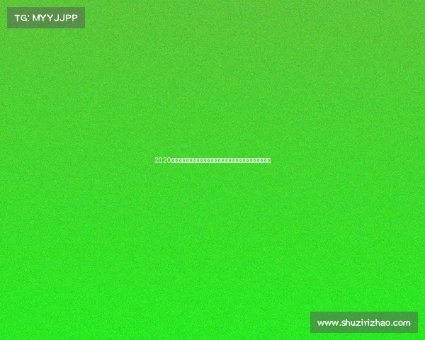 2020赛季广东宏远华南虎篮球战队联赛征程勇夺第十冠创造辉煌历史 2020赛季广东宏远华南虎篮球战队联赛征程勇夺第十冠创造辉煌历史